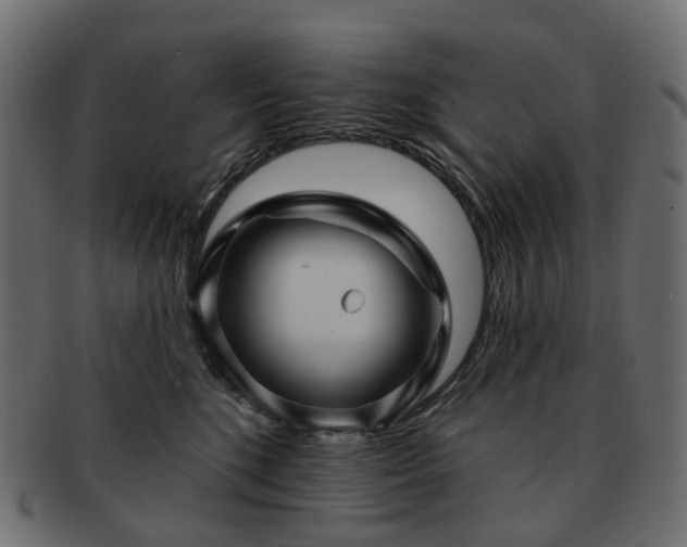 X0000093220520200710031442