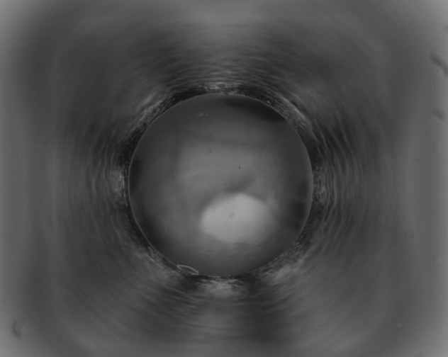 X0000093220523200710031442