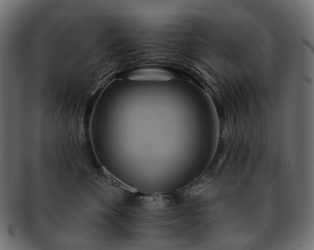 X0000093220524200710031442