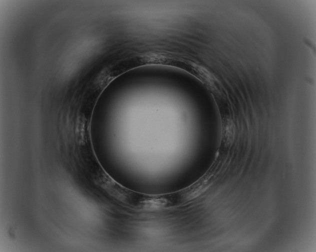 X0000093220525200710031442