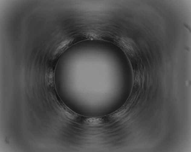 X0000093220526200710031442