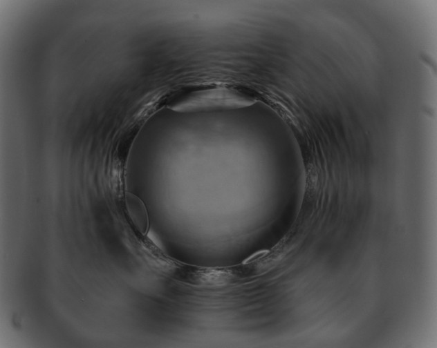 X0000093220527200710031442