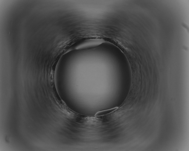 X0000093220528200710031442