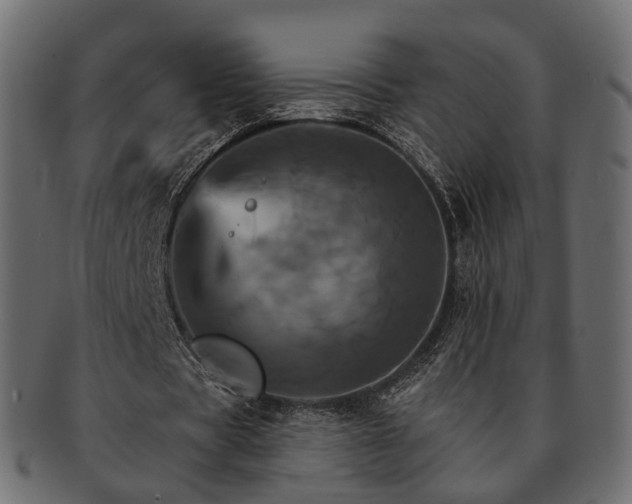 X0000093220529200710031441