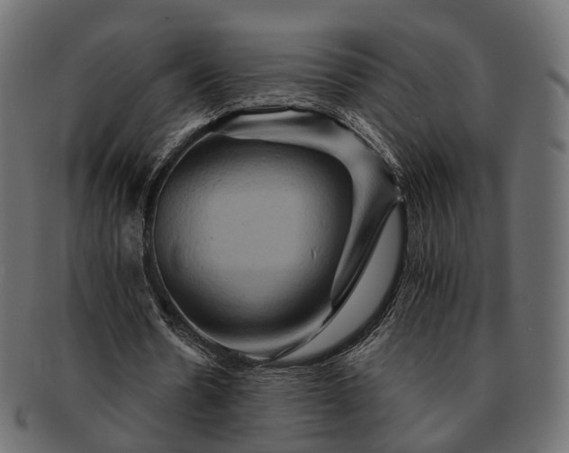 X0000093220530200710031441