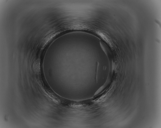 X0000093220531200710031441