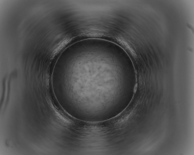 X0000093220533200710031441