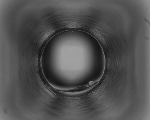 X0000093220535200710031441