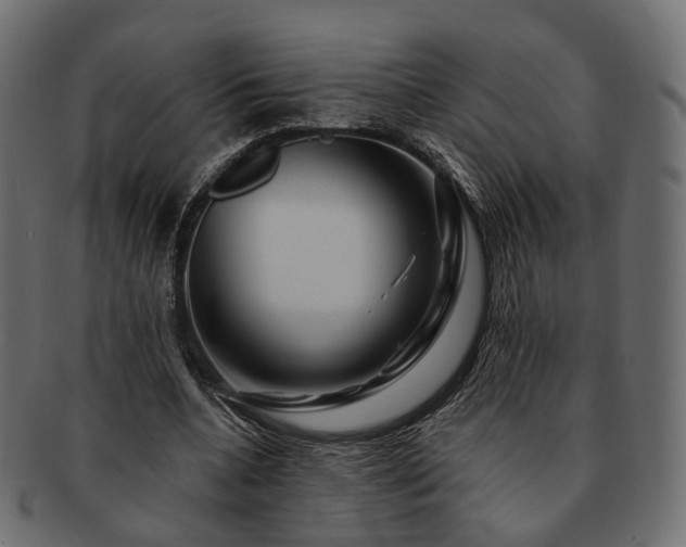 X0000093220536200710031441