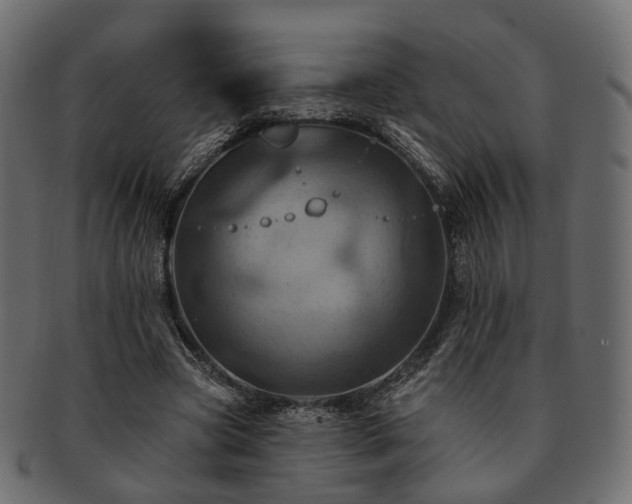 X0000093220537200710031441