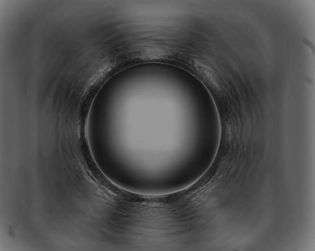 X0000093220539200710031441