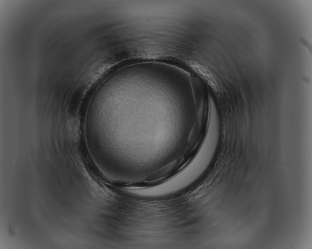 X0000093220540200710031441