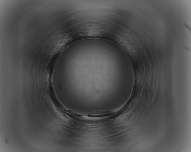 X0000093220542200710031441