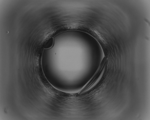 X0000093220543200710031441