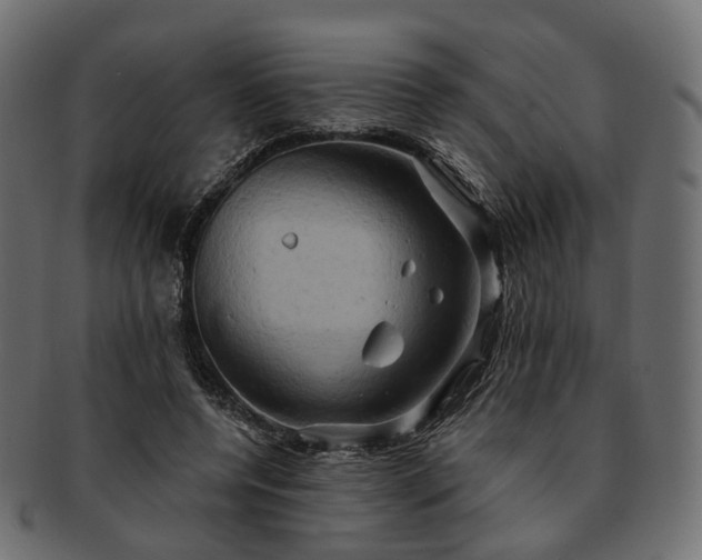 X0000093220544200710031441