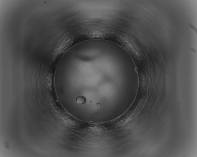 X0000093220545200710031441