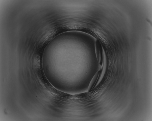 X0000093220547200710031441