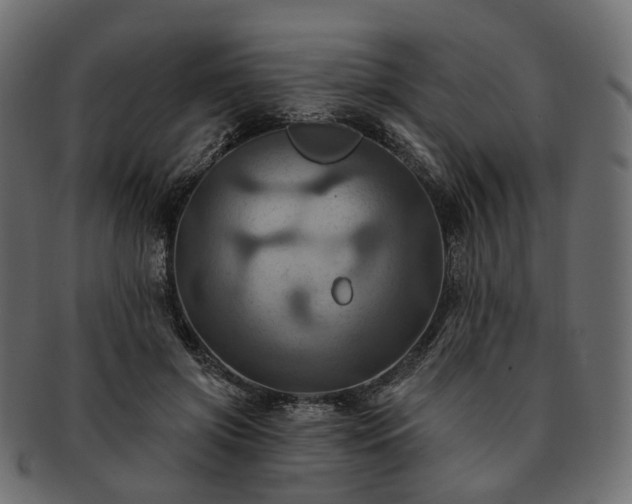 X0000093220549200710031441