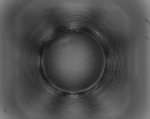 X0000093220554200710031441