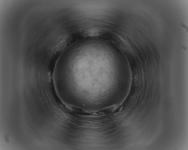 X0000093220555200710031441