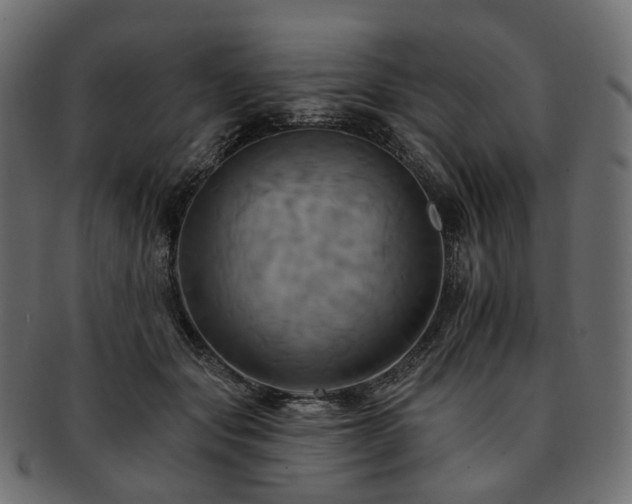 X0000093220557200710031441