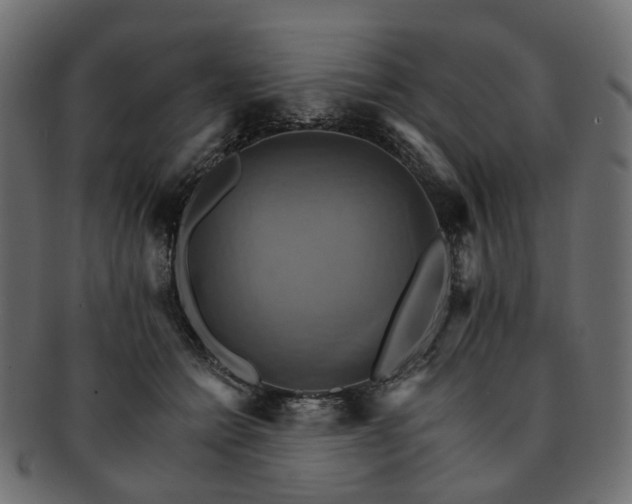 X0000093220558200710031441