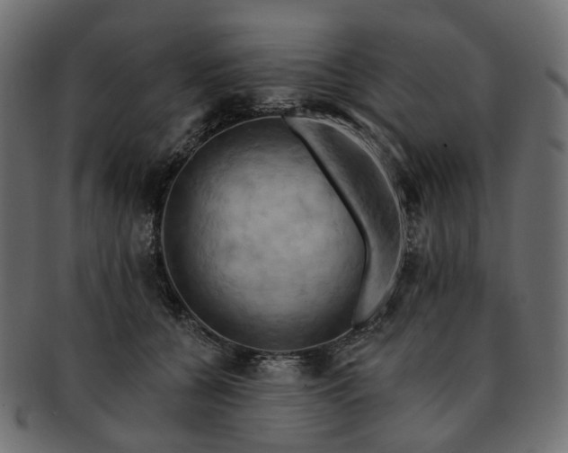 X0000093220560200710031441