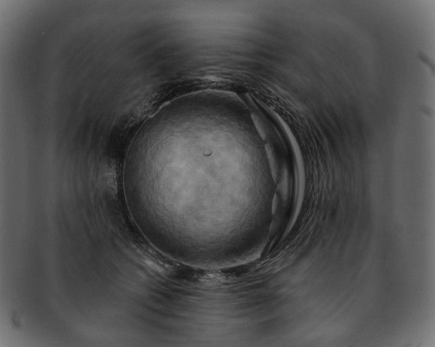 X0000093220562200710031441