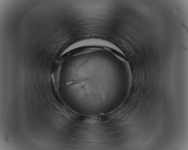 X0000093220563200710031441