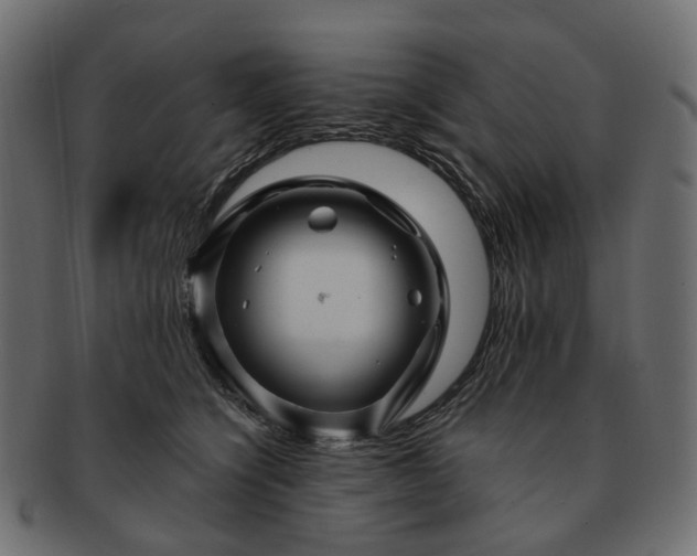 X0000093220564200710031441