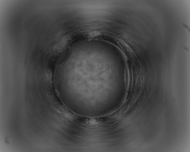 X0000093220565200710031441