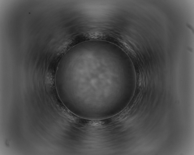 X0000093220569200710031441