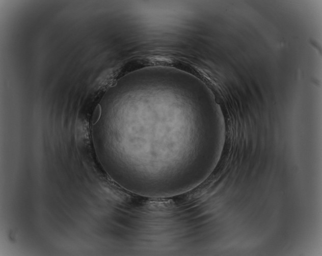 X0000093220571200710031441