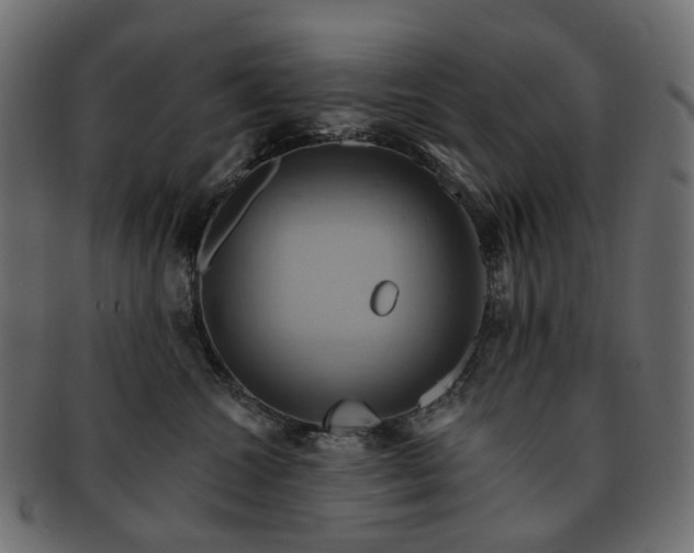 X0000093220572200710031442