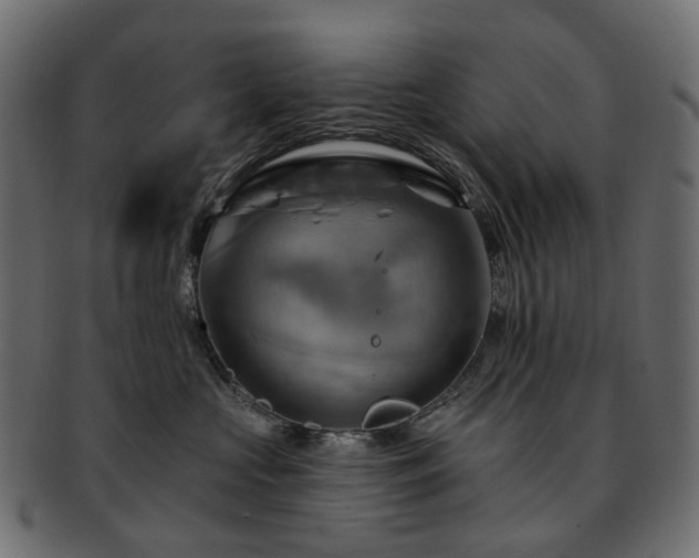 X0000093220573200710031442