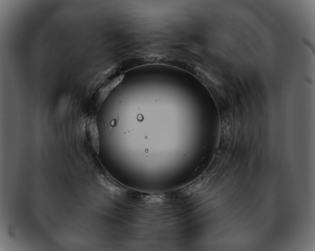 X0000093220574200710031442