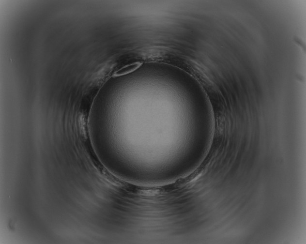 X0000093220575200710031442