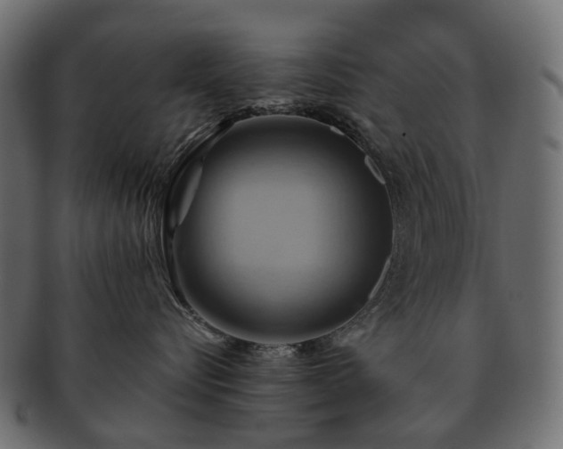 X0000093220576200710031442