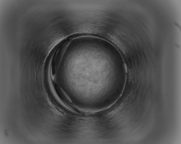 X0000093220580200710031441