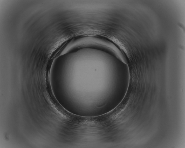 X0000093220581200710031441