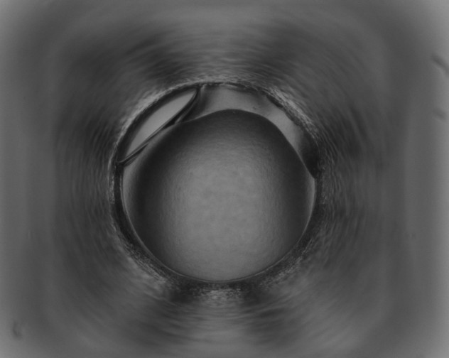 X0000093220584200710031441