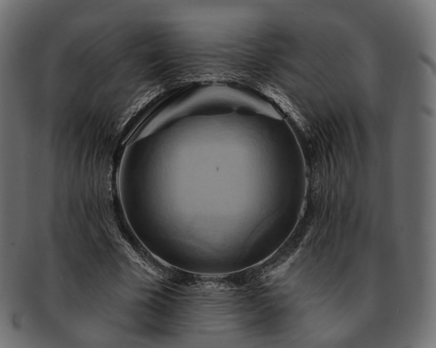 X0000093220585200710031441