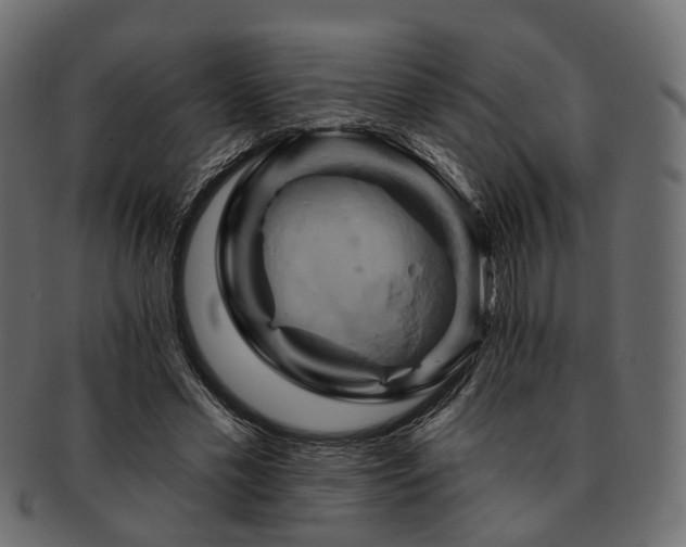 X0000093220589200710031441