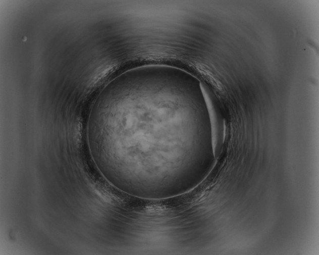 X0000093220591200710031441