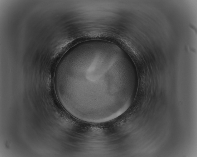 X0000093220592200710031441