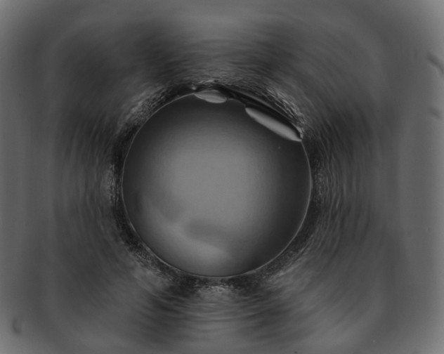 X0000093220594200710031441