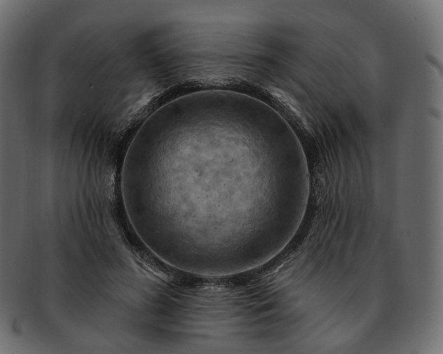 X0000093220596200710031441