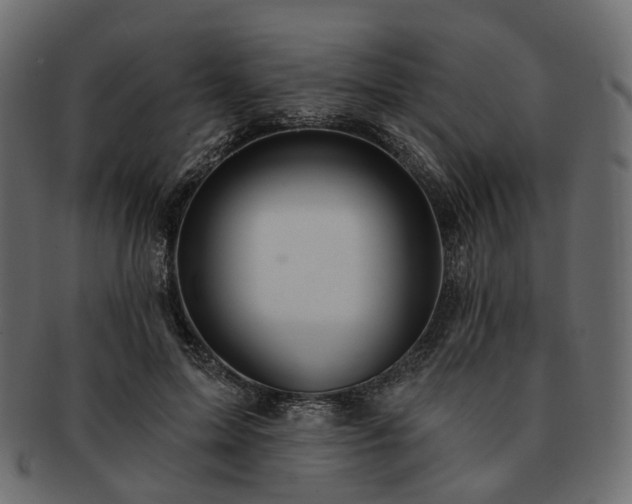 X0000093220599200710031441