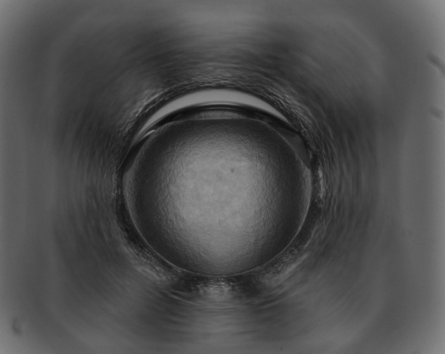 X0000093220600200710031441