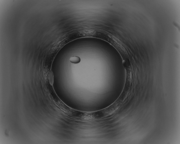 X0000093220604200710031441